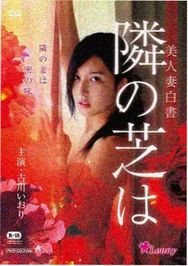 燃烧条目封面示意